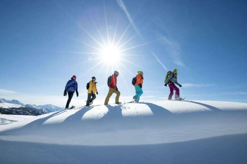 Banff National Park: Sunshine Meadows Snowshoeing Experience - Key points to know before you book