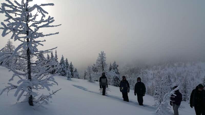 Banff National Park: Sunshine Meadows Snowshoeing Experience - Two and a half hours in the snowy backcountry