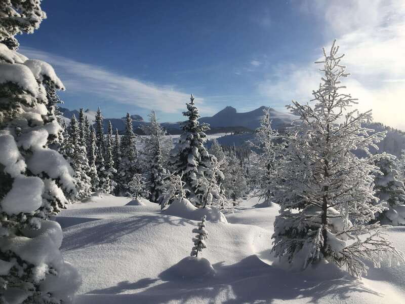 Banff National Park: Sunshine Meadows Snowshoeing Experience - What the guide and included supplies add