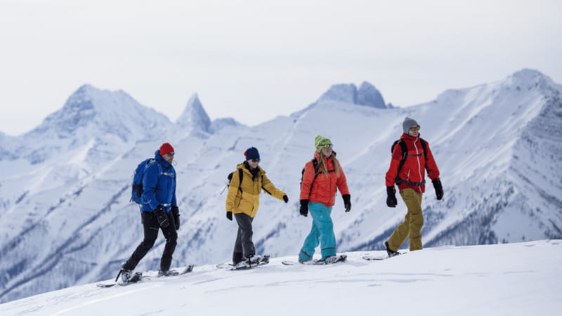 Banff National Park: Sunshine Meadows Snowshoeing Experience - How the $102 price measures up