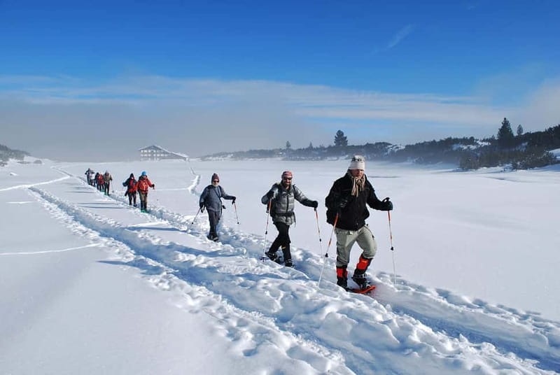 Bansko: Easy snowshoeing Pirin National Park & thermal spa - Snowshoeing among Pirin’s old pines