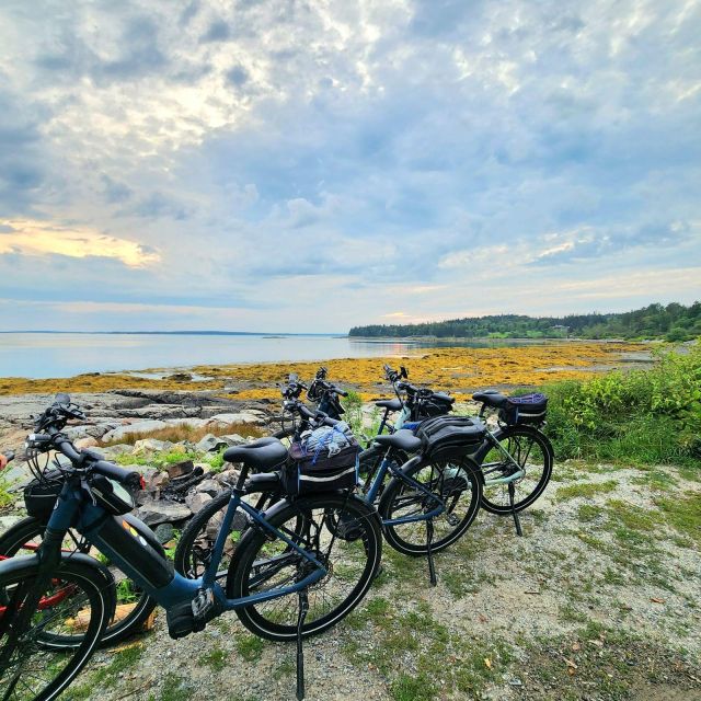 Bar Harbor: Acadia National Park Carriage Roads Ebike Tour - Starting at Hull’s Cove Visitor Center