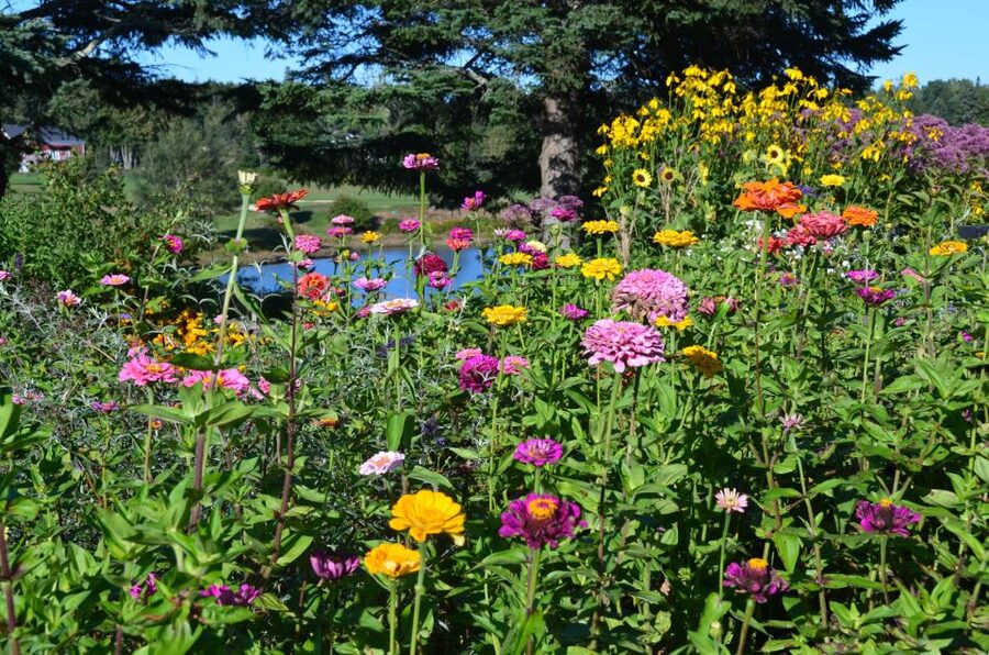 Bar Harbor: Acadia National Park Customizable Private Tour - Food, water, vehicle rules, and comfort
