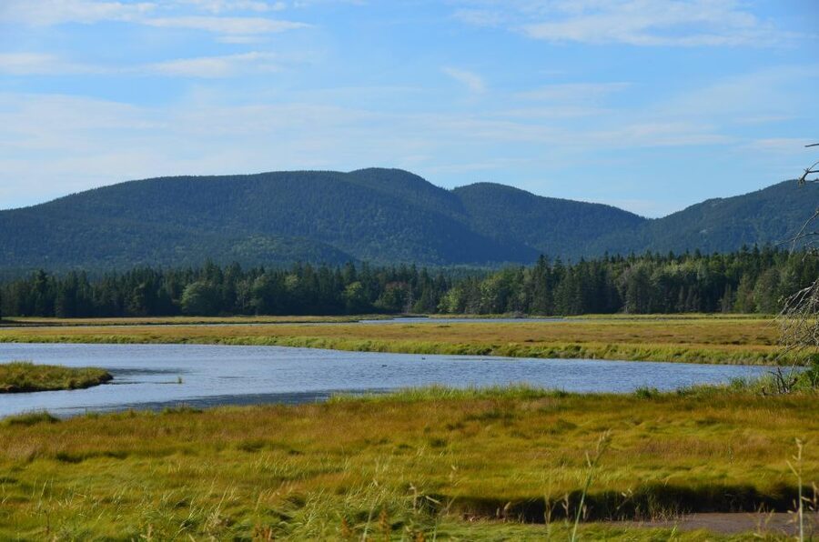Bar Harbor: Acadia National Park Customizable Private Tour - Sand Beach and Great Head