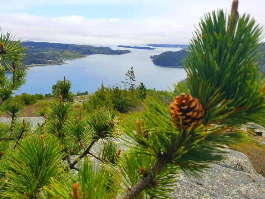 Bar Harbor: Acadia National Park Customizable Private Tour - Thunder Hole and the Ocean Trail