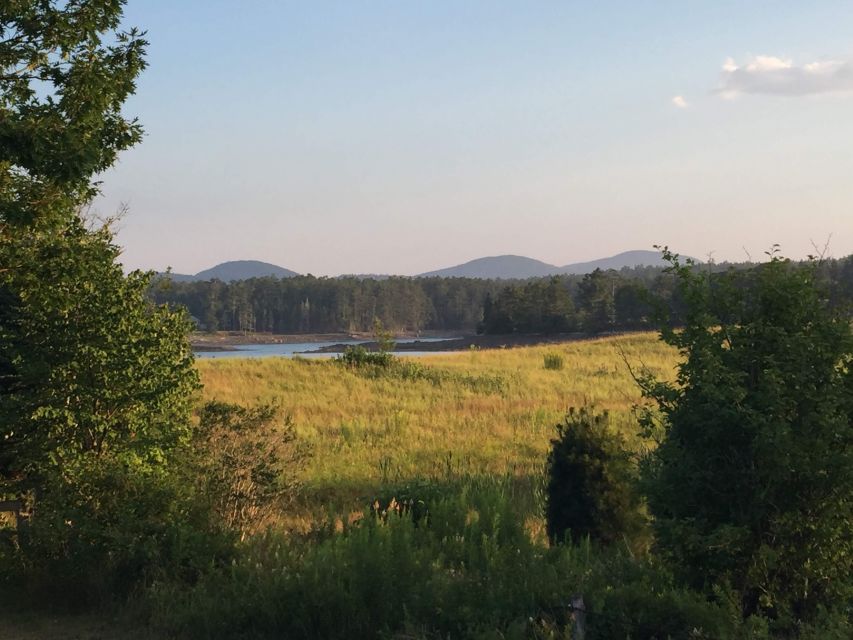Bar Harbor: Acadia National Park Private Tour with Lunch - Should you book this private Acadia tour?