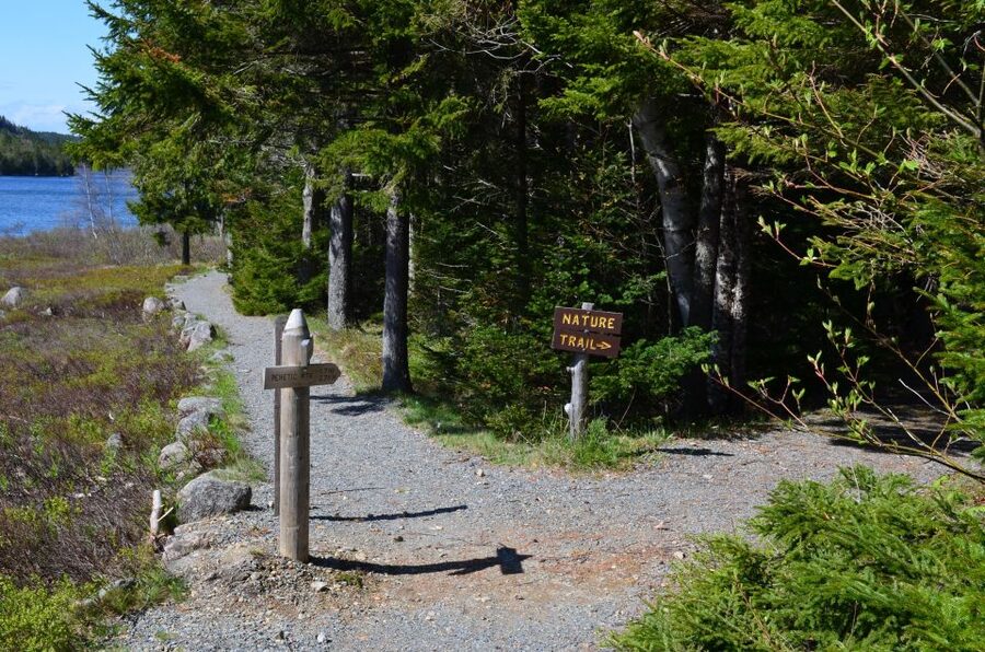 Bar Harbor: Acadia National Park Private Tour with Lunch - The Park Loop Road links Acadia’s best-known sights