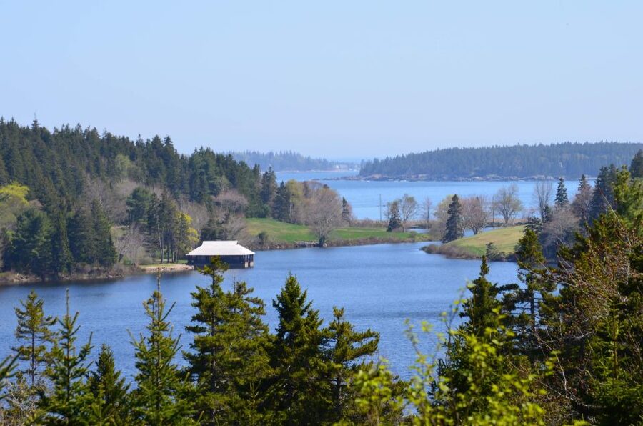 Bar Harbor: Acadia National Park Private Tour with Lunch - What to bring and what to know before booking