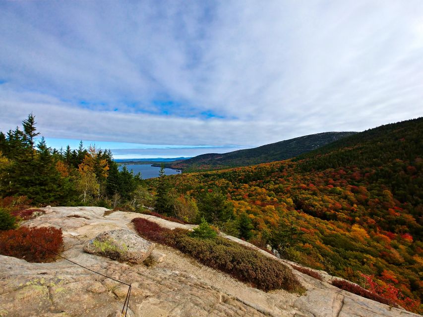 Bar Harbor: Acadia National Park Small-Group Guided Tour - Key points to know before booking