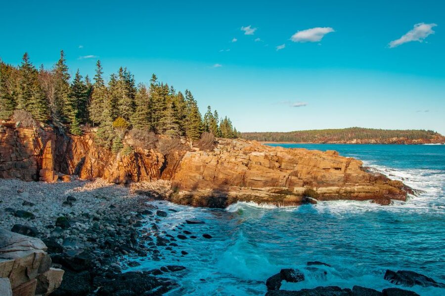 Bar Harbor: Acadia National Park Small-Group Guided Tour - A naturalist guide who connects the details