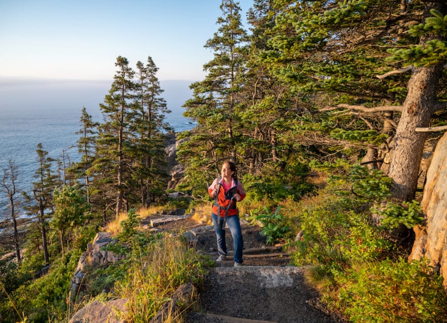 Bar Harbor: Acadia National Park Tour with Lobster Roll - Thunder Hole delivers the loudest moment