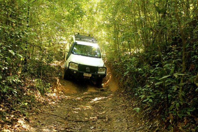 Barron Gorge and Kuranda National Park Half Day Rainforest and Waterfall 4WD Tour from Cairns - What the five-hour outing is really like