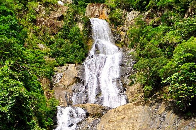 Barron Gorge and Kuranda National Park Half Day Rainforest and Waterfall 4WD Tour from Cairns - Kuranda National Park brings forest close to the road