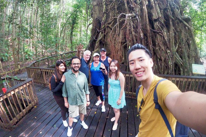Barron Gorge and Kuranda National Park Half Day Rainforest and Waterfall 4WD Tour from Cairns - Davies Creek offers the most refreshing stop