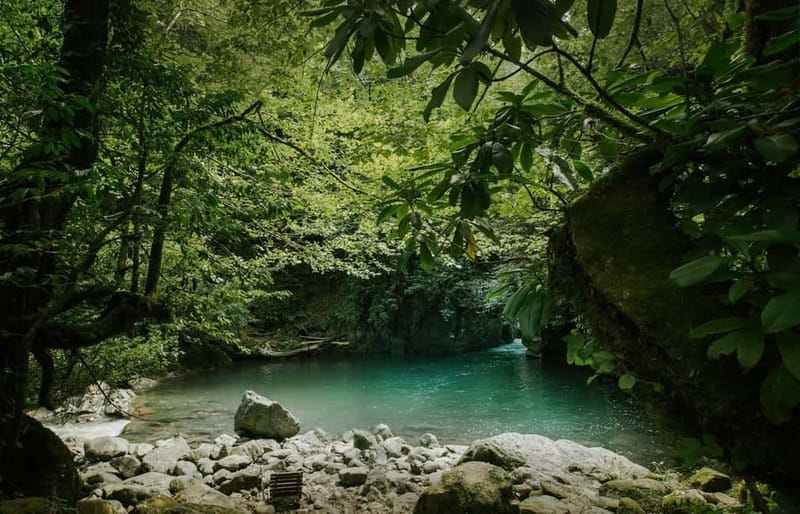 Batumi to Mtirala National park - Half day hiking group tour - A two-hour forest walk to the waterfalls