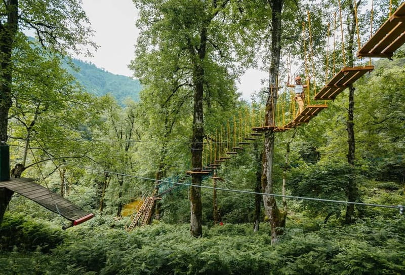 Batumi to Mtirala National park - Half day hiking group tour - What to pack for the four-hour outing
