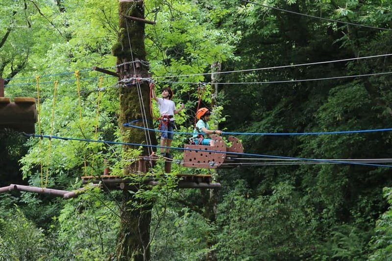 Batumi to Mtirala National park - Half day hiking group tour - The return to Batumi at 18:00