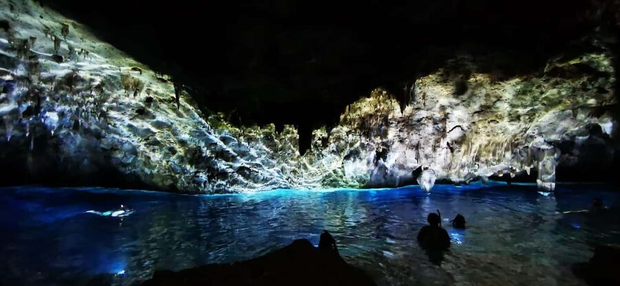 Bayahibe: National Park Jungle Walk & Snorkeling in Cenotes - Key points to know before you book