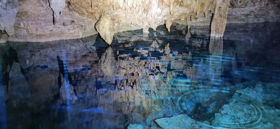 Bayahibe: National Park Jungle Walk & Snorkeling in Cenotes - Walking through Cotubanamá National Park