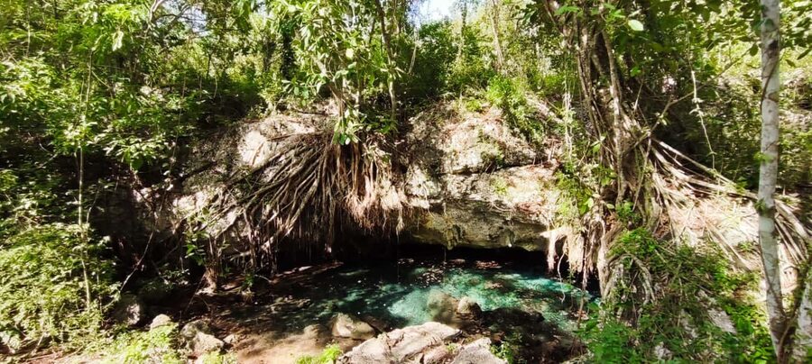 Bayahibe: National Park Jungle Walk & Snorkeling in Cenotes - Descending into Cenotes Chicho