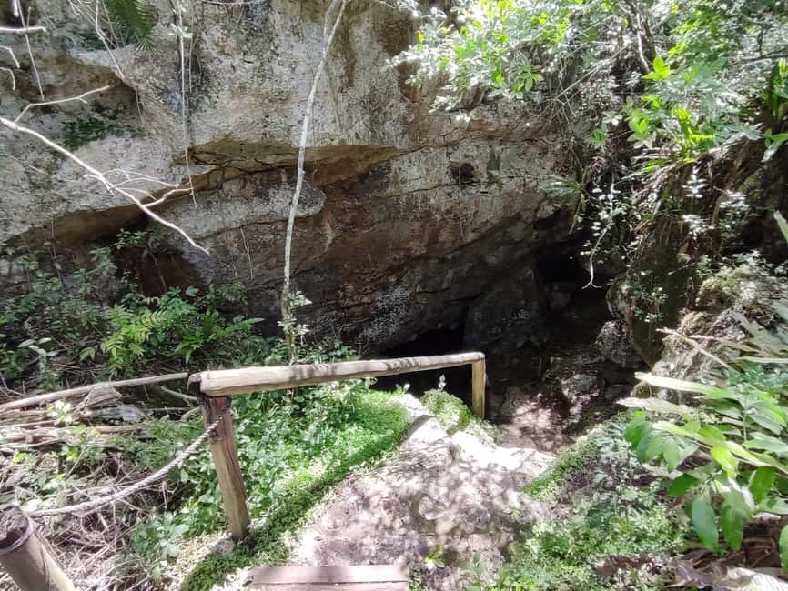 Bayahibe: National Park Jungle Walk & Snorkeling in Cenotes - The second walk and the post-swim snack