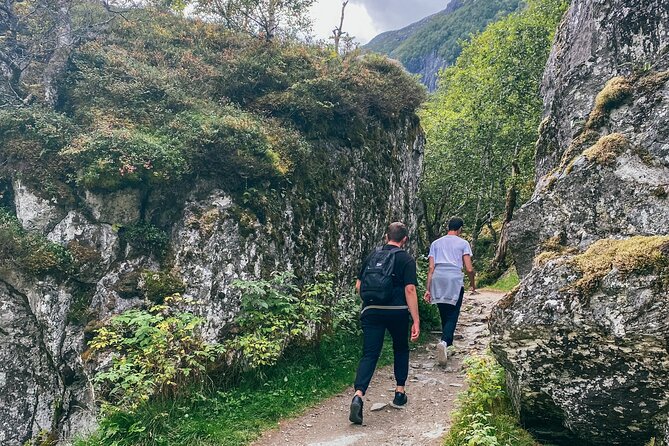 Bergen Day Tour to National Park Folgefonna and Glacier Lake - The Hardangerfjord ferries make the transport part of the fun