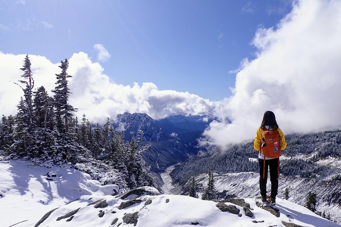 Best of Mount Rainier National Park from Seattle: All-Inclusive Small-Group Tour - The visitor center and Myrtle Falls