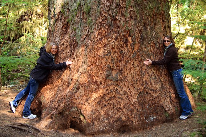 Best of Olympic National Park from Seattle: All-Inclusive Small-Group Day Tour - Starting with Puget Sound and Bainbridge Island