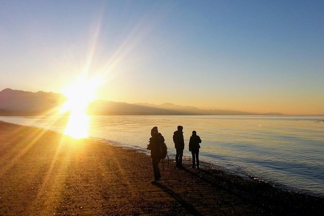 Best of Olympic National Park from Seattle: All-Inclusive Small-Group Day Tour - Elwha Valley and the story of a changing river