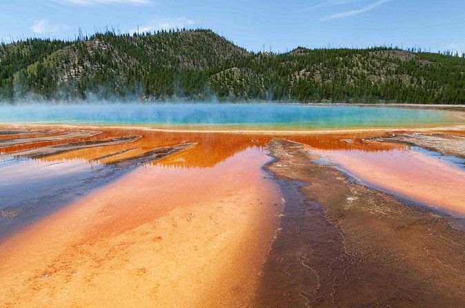 Best of Yellowstone - Guided National Park Safari Tour - Mud Volcano, Hayden Valley, and the hunt for wildlife