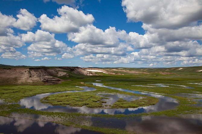 Best of Yellowstone - Guided National Park Safari Tour - Grand Canyon of the Yellowstone and Yellowstone Lake
