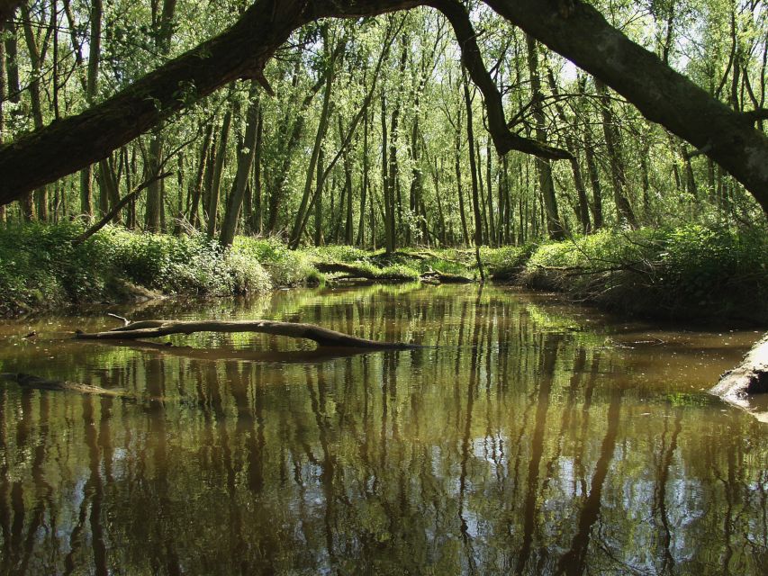 Biesbosch: Boat Cruise through National Park - Key points to know before you go