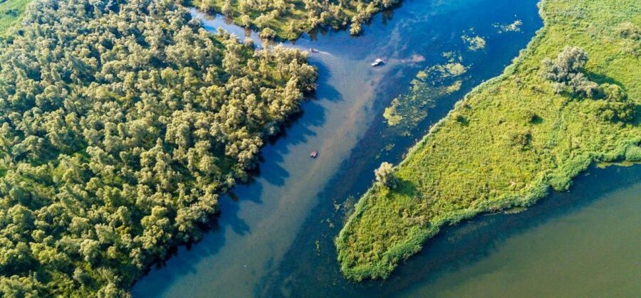 Biesbosch: Boat Cruise through National Park - Looking for beavers and birds