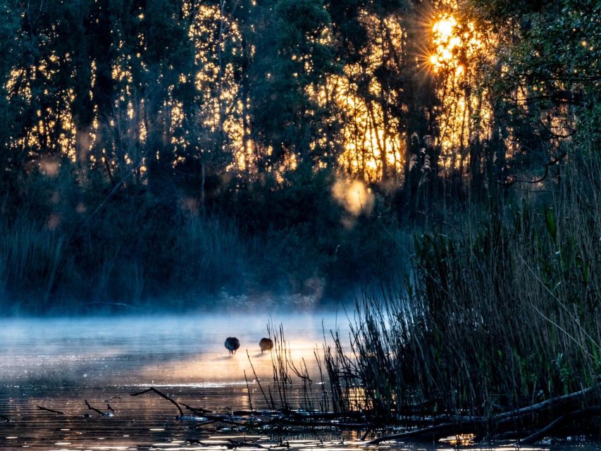 Biesbosch: Boat Cruise through National Park - How the price compares with the experience