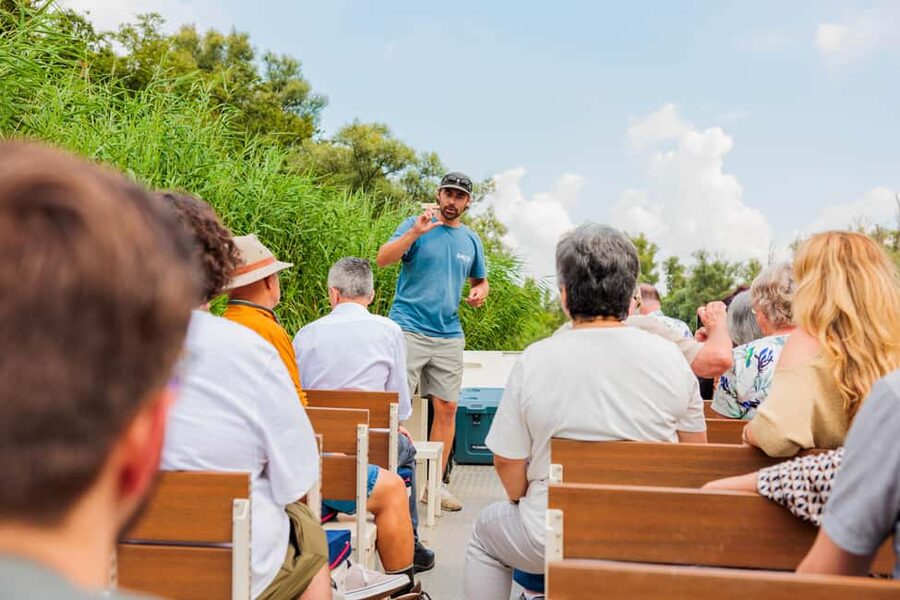 Biesbosch: National Park Cruise - What the 75-minute cruise feels like