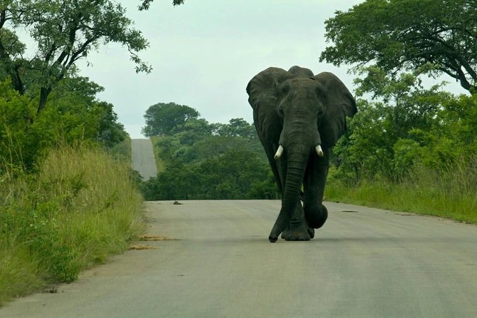 Big 5 Kruger National Park 2 Days Safari from Johannesburg - Entering Kruger through Phabeni Gate