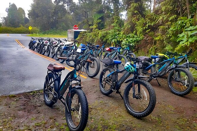 Big Island: Fat Tire E-Bike Tour through Volcanoes National Park - Who should book this ride?