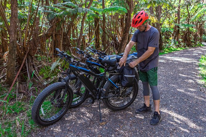 Big Island: Fat Tire E-Bike Tour through Volcanoes National Park - Forest paths, flowers, and the lava cave