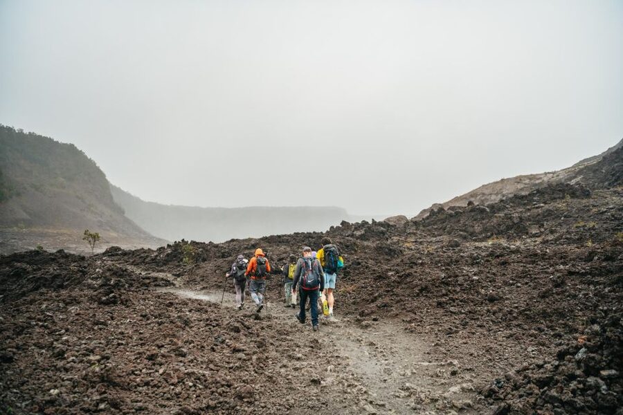 Big Island: Hawai'i Volcanoes National Park Guided Hike - Walking through native Hawaiian forest
