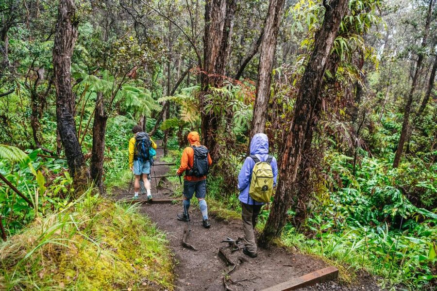 Big Island: Hawai'i Volcanoes National Park Guided Hike - What the meals add to the $230 price