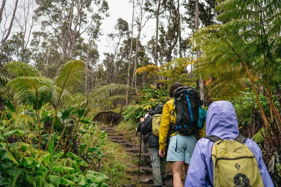 Big Island: Hawai'i Volcanoes National Park Guided Hike - The breakfast question