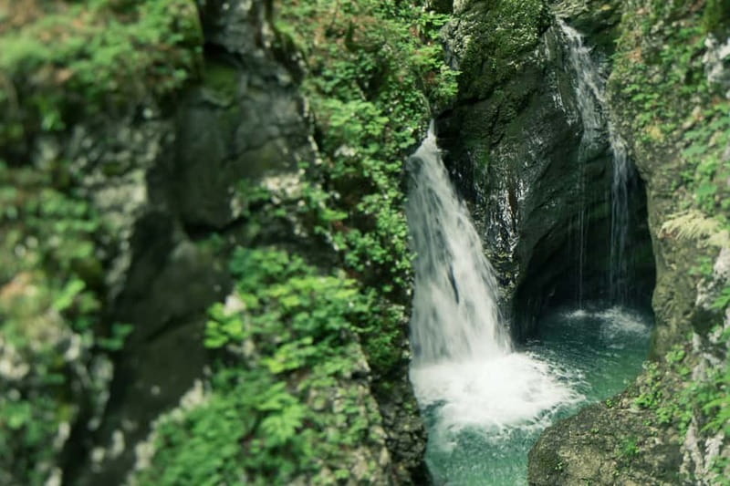 Bled: Triglav National Park Canyoning Adventure with Photos - Who should book this canyoning trip?
