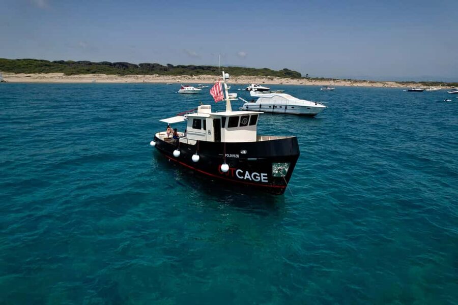 Boat tour Golfo Aranci: Tavolara and Molara Marine Protected Area - Why the Lupo changes the feel of the cruise