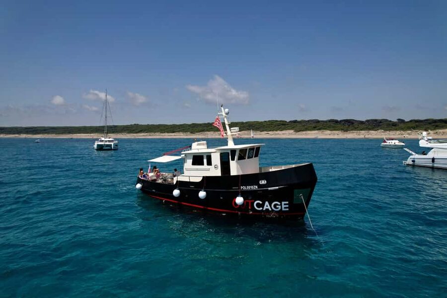 Boat tour Golfo Aranci: Tavolara and Molara Marine Protected Area - Breakfast begins with Sardinian flavors