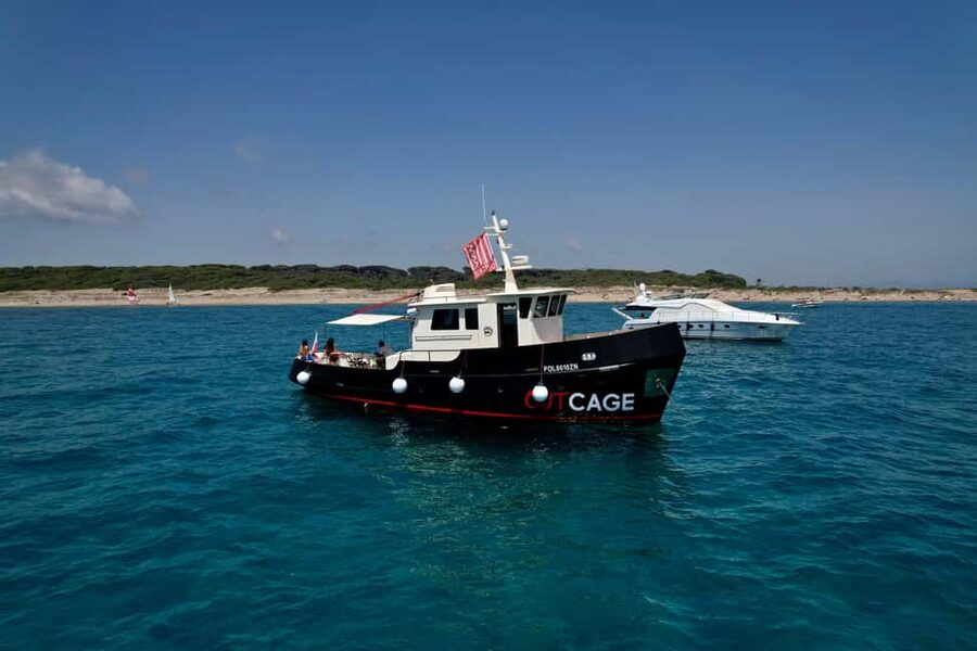 Boat tour Golfo Aranci: Tavolara and Molara Marine Protected Area - Meeting the boat in Golfo Aranci
