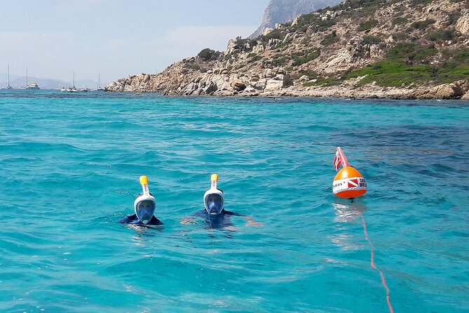 Boat tour to explore the Marine Protected Area of Tavolara - Three swims, clear water, and possible dolphins