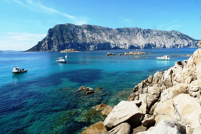 Boat tour to explore the Marine Protected Area of Tavolara - The guides make a real difference