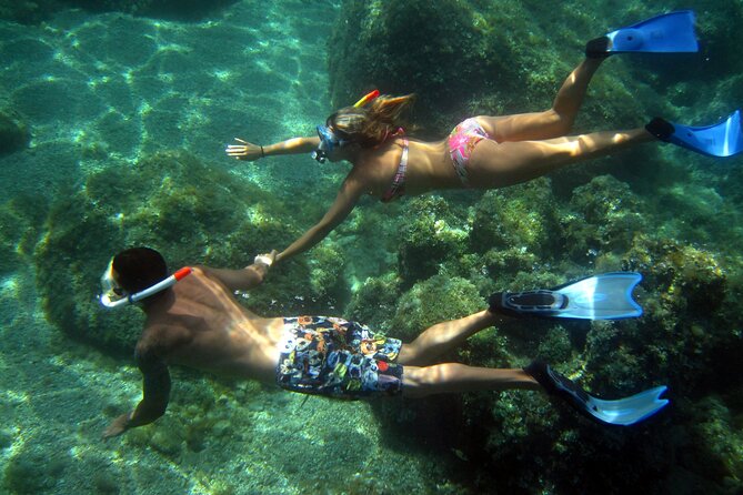 Boat tour to explore the Marine Protected Area of Tavolara - Getting to the marina from Olbia