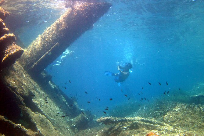 Boat tour to explore the Marine Protected Area of Tavolara - Molara and the Natural Pools
