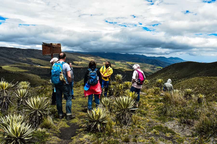 Bogotá: Sumapaz National Park Hike Tour - Frailejones, water wells, and a rare ecosystem